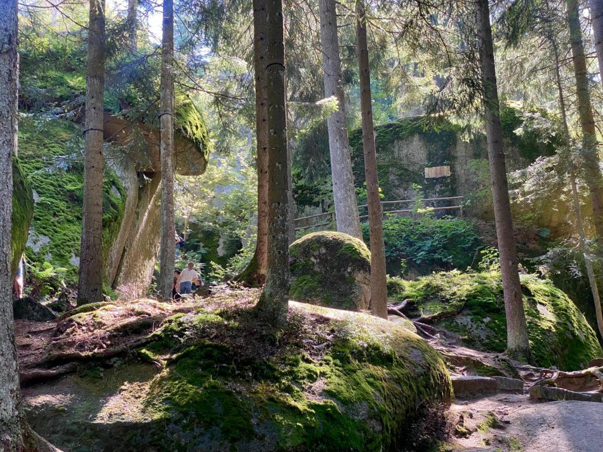 Ferienwohnung Oxana Im Naturpark Fichtelgebirge Schonwald  Exteriör bild