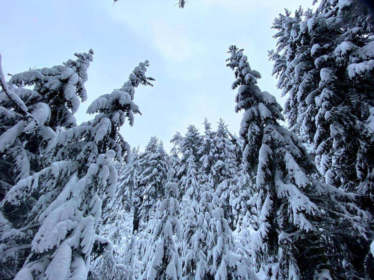 Ferienwohnung Oxana Im Naturpark Fichtelgebirge Schonwald  Exteriör bild
