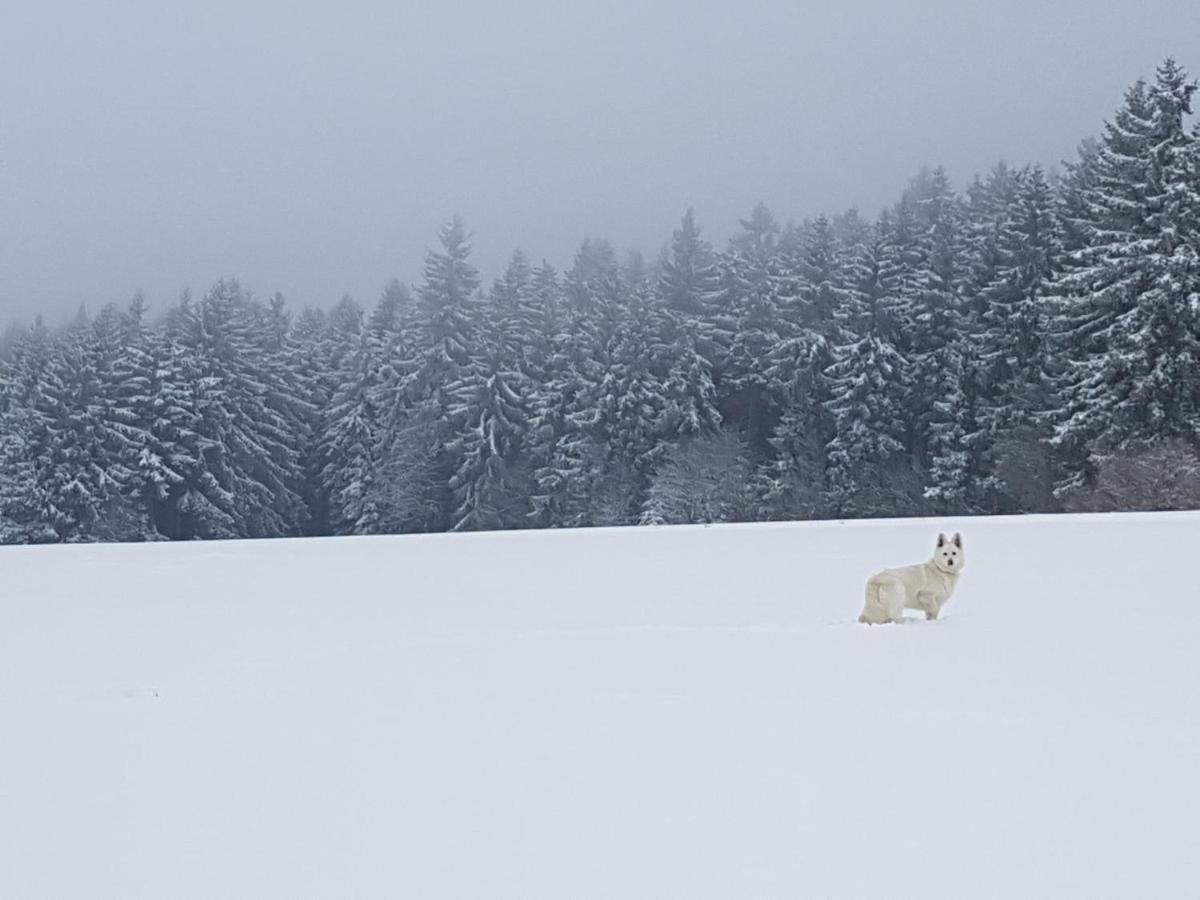 Ferienwohnung Oxana Im Naturpark Fichtelgebirge Schonwald  Exteriör bild