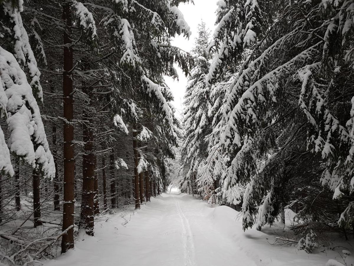 Ferienwohnung Oxana Im Naturpark Fichtelgebirge Schonwald  Exteriör bild